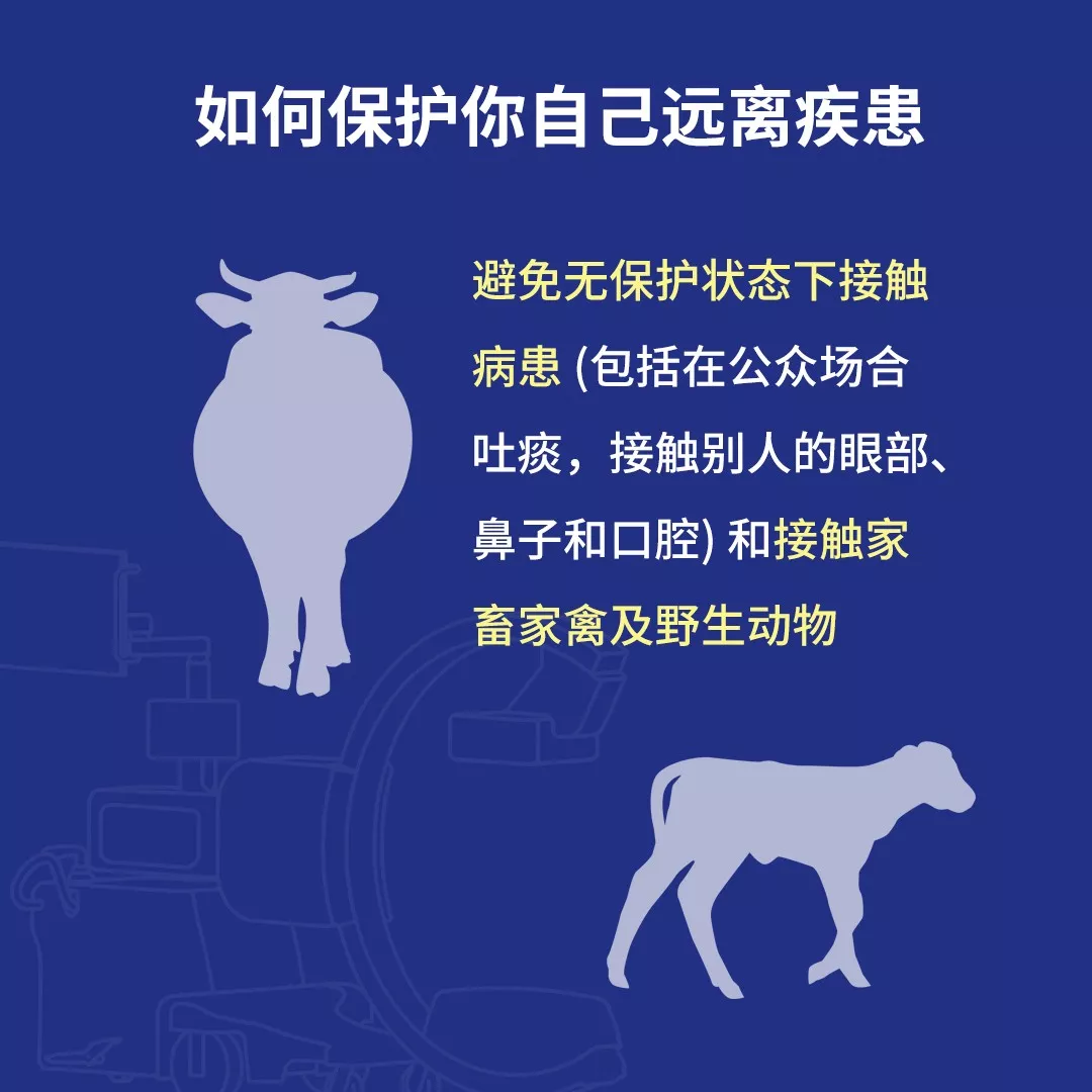 面对新型冠状病毒，胸部影像检查能做什么