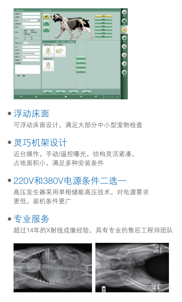 宠物DR