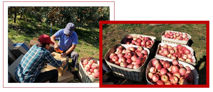 普爱医疗爱心助农 把爱带回家