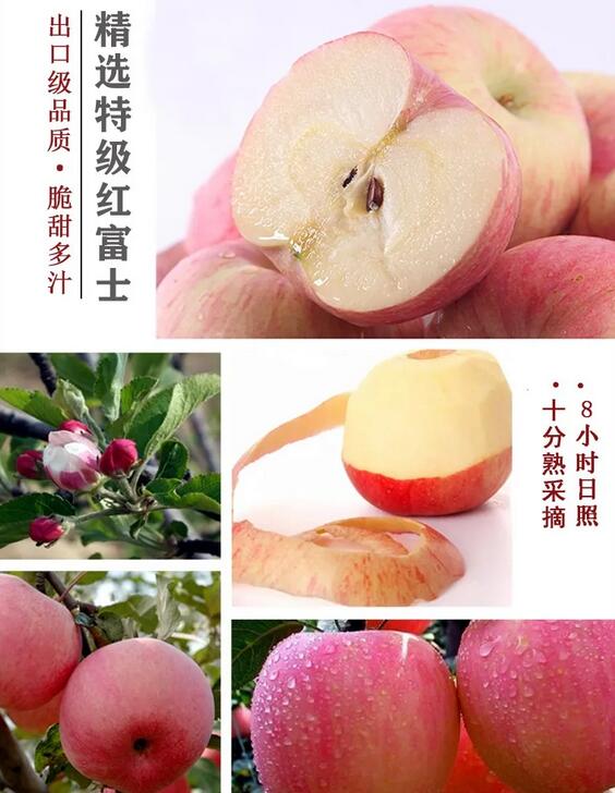 与普爱医疗一同携手，爱心助农抗疫情