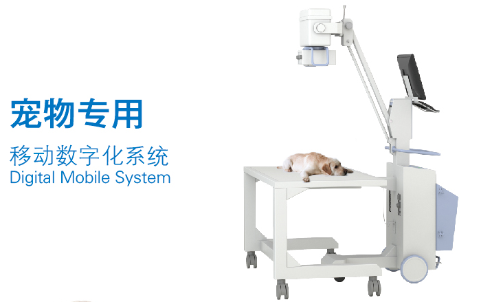 宠物DR 宠物DR