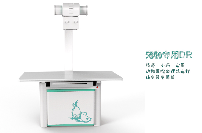 动物DR 动物DR